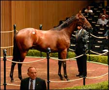 El Prado Son Goes for $750,000 El Prado Son Goes for $750,000