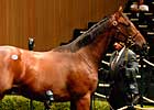 El Prado Son Goes for $750,000 El Prado Son Goes for $750,000