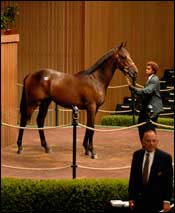 Keeneland Numbers Down; Topper is Half-Brother to Pulpit Keeneland Numbers Down; Topper is Half-Brother to Pulpit