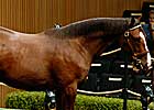 Keeneland Day Two Starts Strong