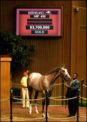 September Select Gross and Average Fall at Keeneland; Median Equals Record September Select Gross and Average Fall at Keeneland; Median Equals Record