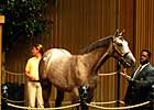 September Select Gross and Average Fall at Keeneland; Median Equals Record