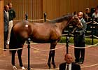 Sons of A.P. Indy Leading Way During Early Portion of Keeneland September