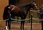 Lane's End Has a Good Day; Tops All Consignors on Keeneland Sale's Second Day Lane's End Has a Good Day; Tops All Consignors on Keeneland Sale's Second Day