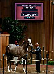 Jones-Bred Yearlings in Spotlight This Year Jones-Bred Yearlings in Spotlight This Year