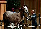 Jones-Bred Yearlings in Spotlight This Year Jones-Bred Yearlings in Spotlight This Year