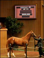 Shadwell Goes to $800,000 for Son of Mr. Greeley Shadwell Goes to $800,000 for Son of Mr. Greeley