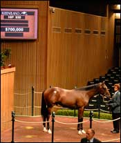 Son of Dynaformer Gets Keeneland Day Four Started Son of Dynaformer Gets Keeneland Day Four Started