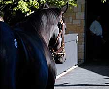 Day Eight Continues Strong at Keeneland Day Eight Continues Strong at Keeneland