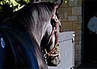 Day Eight Continues Strong at Keeneland