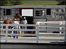 Keeneland September Sale Ends With Second-Highest Gross and Median Ever Keeneland September Sale Ends With Second-Highest Gross and Median Ever