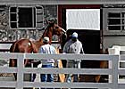 Keeneland September Sale Ends With Second-Highest Gross and Median Ever