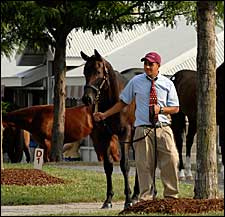 'Steady Progress' Marks Day 10 of Keeneland Sale 'Steady Progress' Marks Day 10 of Keeneland Sale