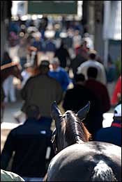 New Buyers Fuel Sixth Catalog at Keeneland Sale New Buyers Fuel Sixth Catalog at Keeneland Sale