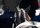New Buyers Fuel Sixth Catalog at Keeneland Sale