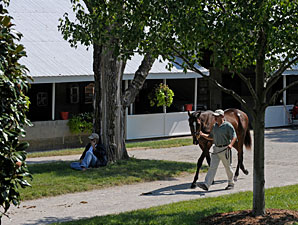 Keeneland: Book 6 Figures Tumble Keeneland: Book 6 Figures Tumble