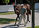 Keeneland: Book 6 Figures Tumble Keeneland: Book 6 Figures Tumble