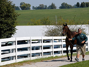 Keeneland Saturday: Gross Down 35.4% Keeneland Saturday: Gross Down 35.4%