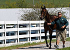 Keeneland Saturday: Gross Down 35.4%