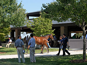Ladies Day Tuesday at Keeneland Ladies Day Tuesday at Keeneland