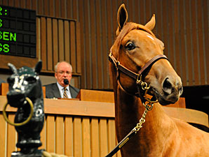 Keeneland: Market for Good Horses Keeneland: Market for Good Horses