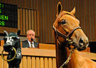 Keeneland: Market for Good Horses Keeneland: Market for Good Horses