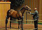 Indian Charlie Colt Tops at Keeneland Indian Charlie Colt Tops at Keeneland
