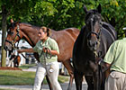 RNA Rate of 16.7% is Keeneland Bright Spot RNA Rate of 16.7% is Keeneland Bright Spot