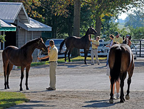 Keeneland's Session 10: Fillies Rule Keeneland's Session 10: Fillies Rule