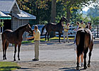 Keeneland's Session 10: Fillies Rule