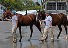 At Keeneland, a Shrouded Silver Lining? At Keeneland, a Shrouded Silver Lining?
