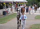 Keeneland a Big Test for Yearling Market