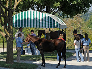 Keeneland Books 3 & 4: Less Is...Less Keeneland Books 3 & 4: Less Is...Less
