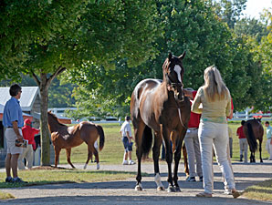 Depressed Keeneland Yearling Market Continues Depressed Keeneland Yearling Market Continues
