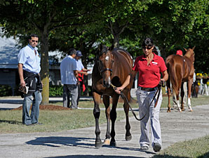 Halftime No Relief at Keeneland Sale