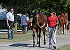 Halftime No Relief at Keeneland Sale Halftime No Relief at Keeneland Sale