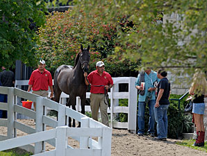 Fillies in Demand Sixth Day at Keeneland