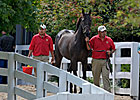 Fillies in Demand Sixth Day at Keeneland