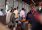 Unbridled's Song Colt Leads Way at Keeneland