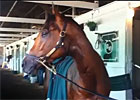 Up Close And Personal With Goldencents Up Close And Personal With Goldencents
