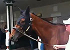 Kentucky Oaks 2013: Beholder Schooling