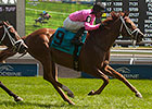 Kaigun Makes Amends in Play the King Stakes Kaigun Makes Amends in Play the King Stakes