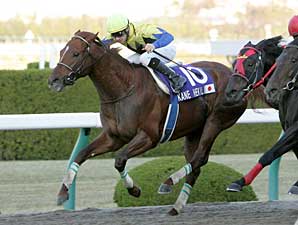 Kane Hekili Captures Japan Cup Dirt Kane Hekili Captures Japan Cup Dirt