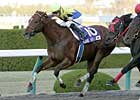Kane Hekili Captures Japan Cup Dirt