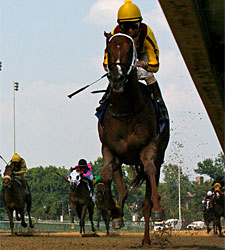 Kantharos Romps in Bashford Manor Kantharos Romps in Bashford Manor