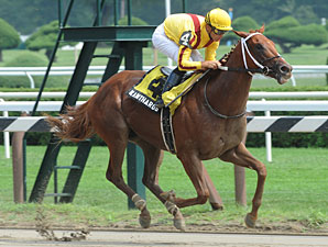 Kantharos Injured, Retired Kantharos Injured, Retired