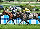 Karakontie Wins French Two Thousand Guineas Karakontie Wins French Two Thousand Guineas
