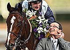 Japan-Bred Karakontie Scores Mile Win Japan-Bred Karakontie Scores Mile Win