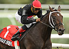 Kara's Orientation Steals Show in Sky Classic