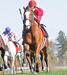 8-Year-Old Karelian Wins Maker's Mark Mile 8-Year-Old Karelian Wins Maker's Mark Mile